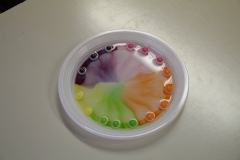 26952099_1569922416419479_6823312490086541860_o_1569922416419479