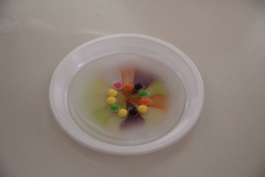 26962352_1569922166419504_6142097881558513354_o_1569922166419504