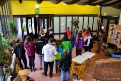 14753872_1131615363583522_1832164200072816993_o_1131615363583522