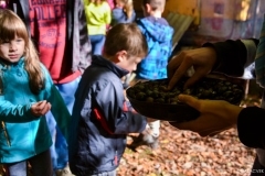 14589691_1131602236918168_6651692625969889019_o_1131602236918168