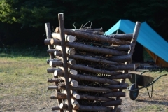177