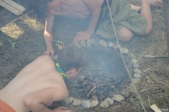 71