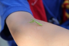 20452036_1413760912035631_6959384873629683359_o_1413760912035631