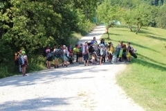 20506953_1413764658701923_8863208553902869034_o_1413764658701923