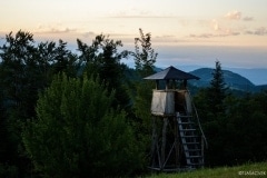 20507383_1413748605370195_7825475817732341644_o_1413748605370195