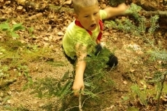 20543591_1413762505368805_712379156090792674_o_1413762505368805