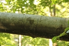 20543734_1413760168702372_457474949159989869_o_1413760168702372