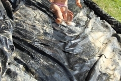 20545533_1413769325368123_7495954986457583014_o_1413769325368123