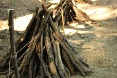 20545543_1413760622035660_6526791872895972157_o_1413760622035660