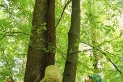 20615753_1413765168701872_735653202311241322_o_1413765168701872