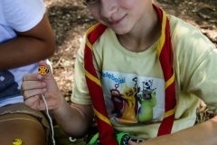 20616857_1413749498703439_7835211620322409222_o_1413749498703439