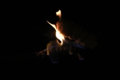 38294489_1793533907391661_332187678504124416_o_1793533900724995