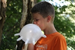 38294526_1793569514054767_4906460601888276480_o_1793569497388102