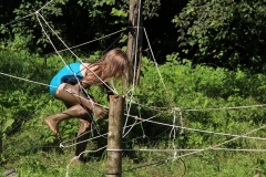 38391807_1793588937386158_249046818279653376_o_1793588930719492