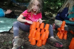 38404971_1793575067387545_8989267727625486336_o_1793575060720879