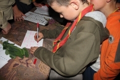 38405436_1793572174054501_2115444974383267840_o_1793572167387835