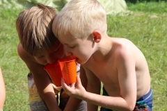 38411845_1793531290725256_4621968058464862208_o_1793531270725258