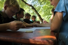 38411980_1793575627387489_4977098451536838656_o_1793575624054156