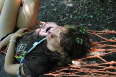 38423155_1793576007387451_3832506743942807552_o_1793576004054118