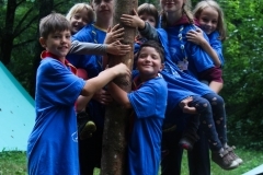 38444484_1793583270720058_4236558279100071936_o_1793583260720059