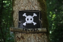 38449423_1793579410720444_1807811666860048384_o_1793579404053778