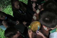 38457989_1793544390723946_6508316719910486016_o_1793544380723947