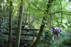 38461377_1793546334057085_3884959362757689344_o_1793546317390420