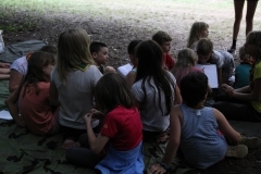 38471326_1793555287389523_339120107907186688_o_1793555270722858