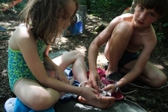 38492401_1793532147391837_6860757789145300992_o_1793532140725171