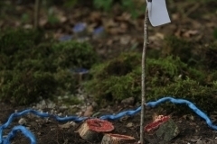 Taborjenje_2021-6179