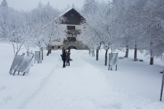 28239032_1598960720182315_2932273832031734824_o_1598960720182315