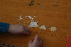 IMG_9716